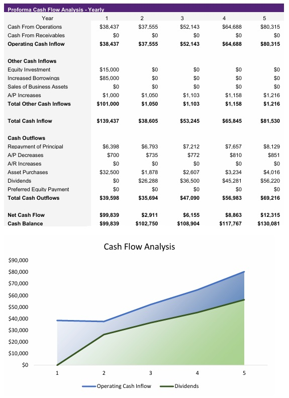 Dog Groomer Cash Flow Analysis