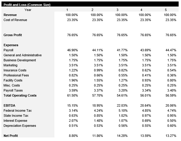 Electrician Common Size Income Statement