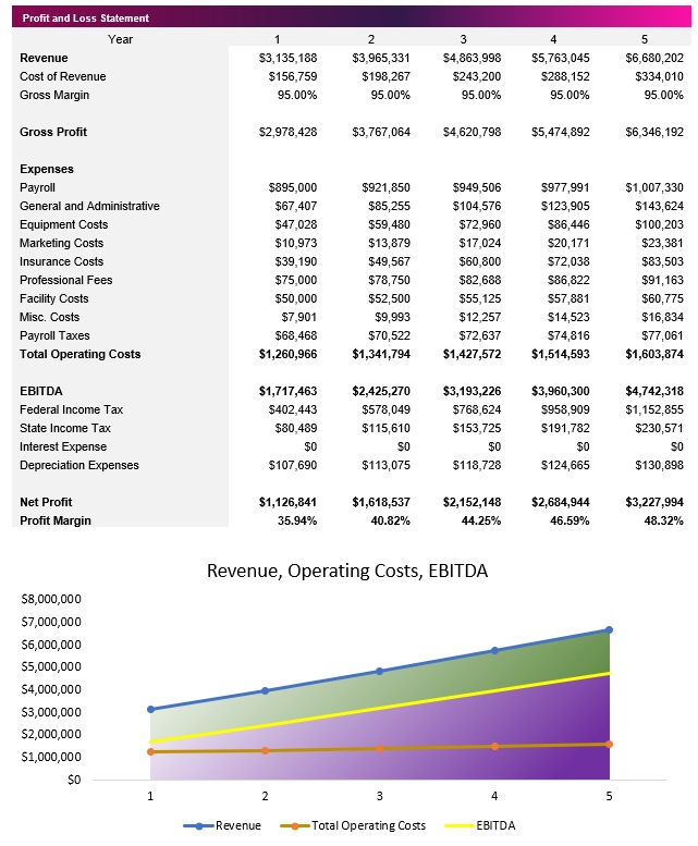 Fintech Profit and Loss Statement