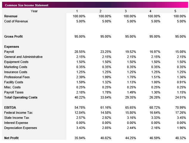 Fintech Common Size Income Statement