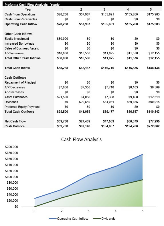 Fitness and Wellness Cash Flow Analysis