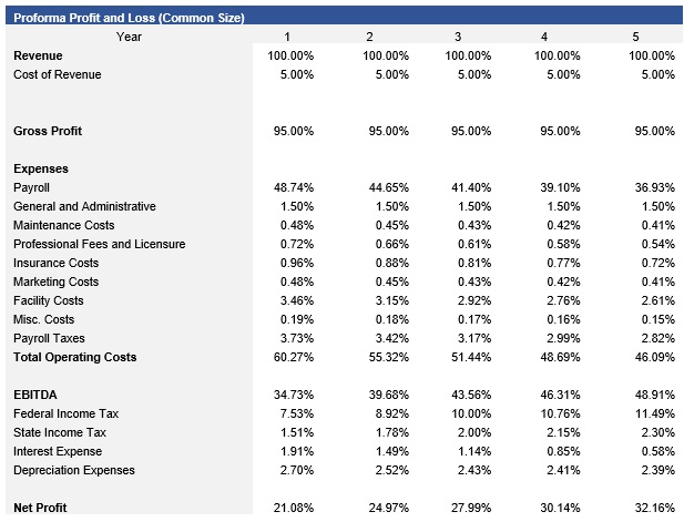Medical Spa Common Size Income Statement