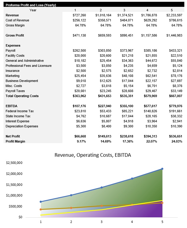 Online Boutique Profit and Loss Statement
