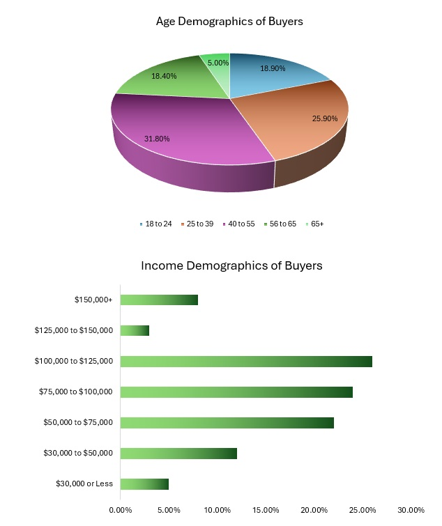 Online Clothing Boutique Demographic Analysis