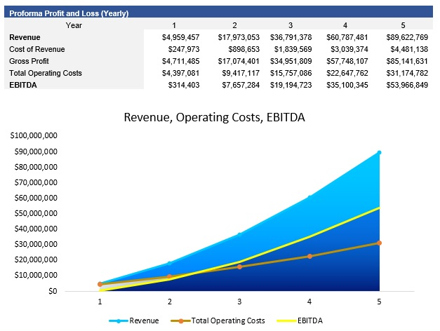 SaaS Profit and Loss Statement