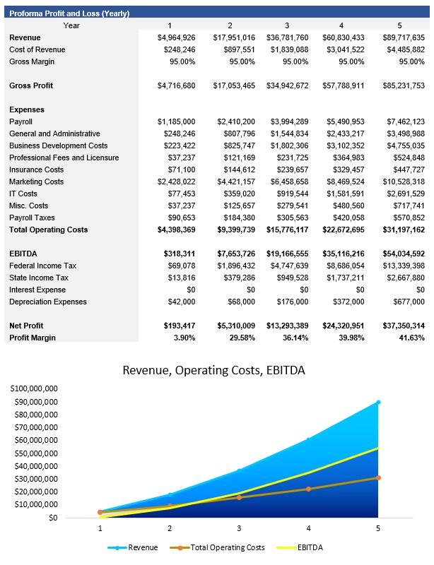 SaaS Profit and Loss Statement