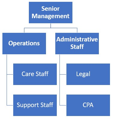 Adult Day Care Center Organizational Chart