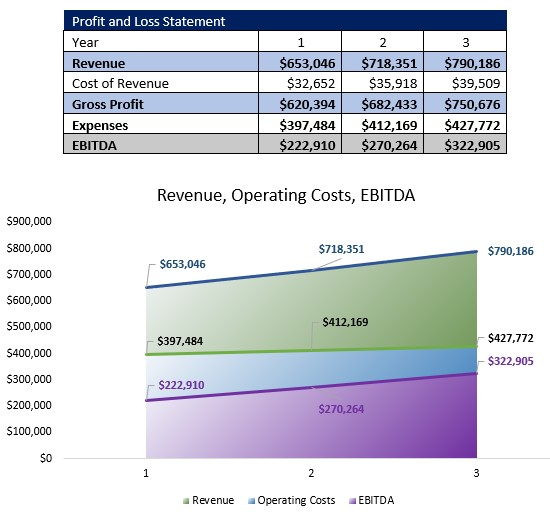 Boat Rental Service P&L