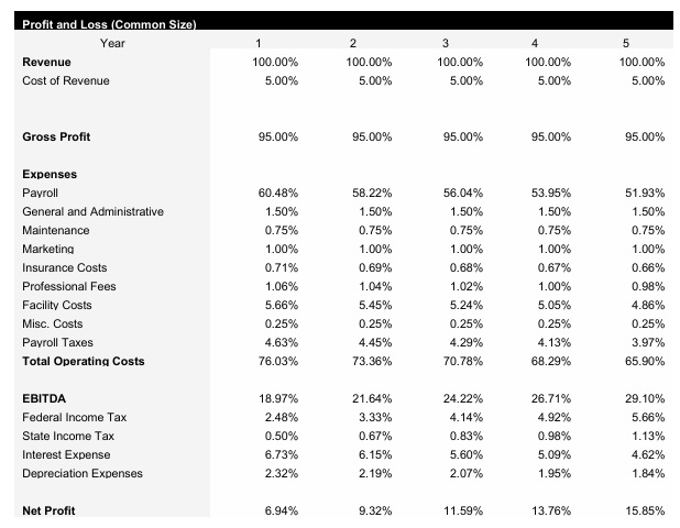 Day Care Center Common Size Income Statement