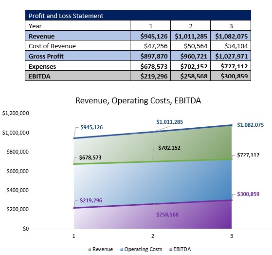 Montessori School P&L