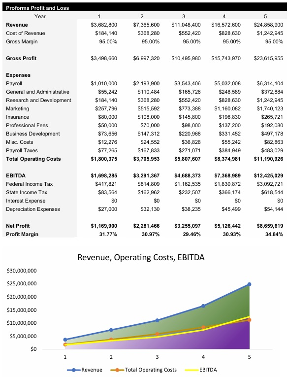 AI Technology Profit and Loss Statement