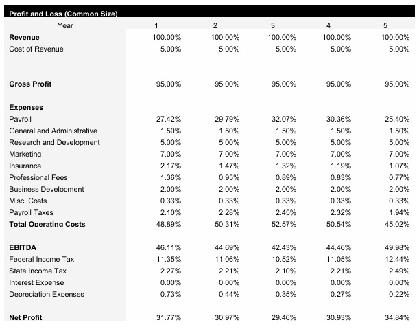 Technology Company Common Size Income Statement