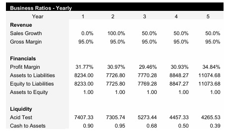 Technology Company Business Ratios

