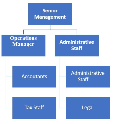 Accounting Firm Organizational Chart