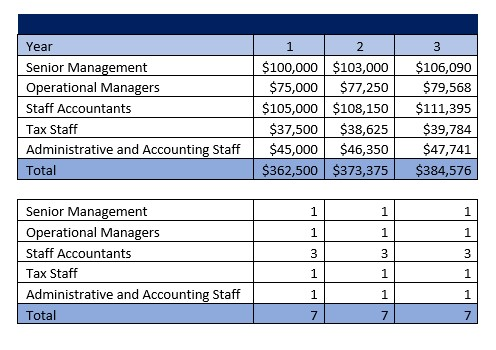 Accounting Firm Payroll