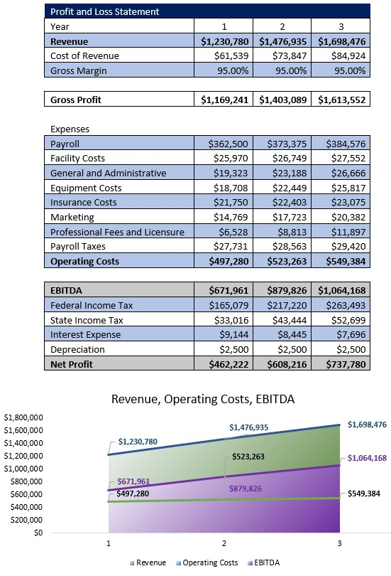 Accounting Firm Profit and Loss Statement