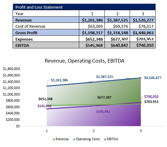 Assisted Living Facility P&L
