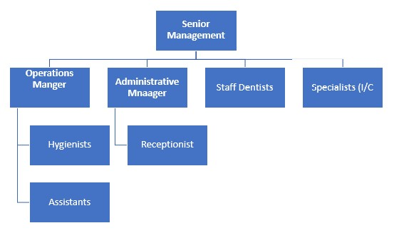 Dental Practice Organizational Chart