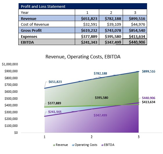 Home Healthcare Agency P&L
