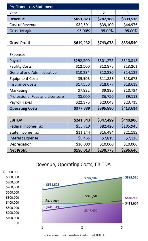 Home Healthcare Agency Income Statement