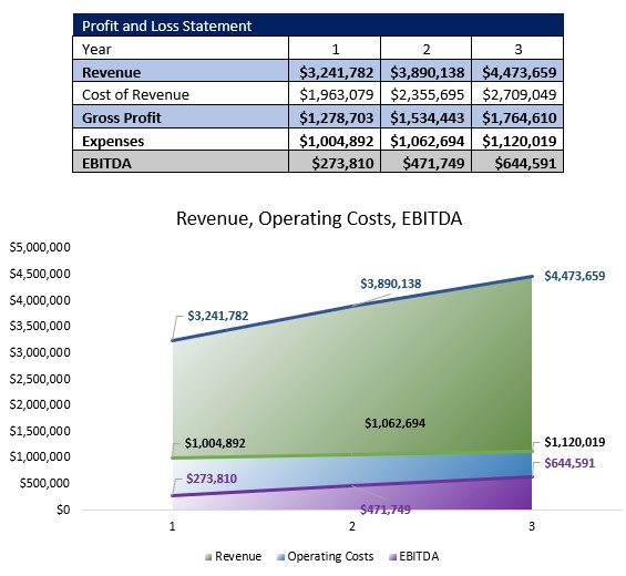 Medical Staffing Agency P&L