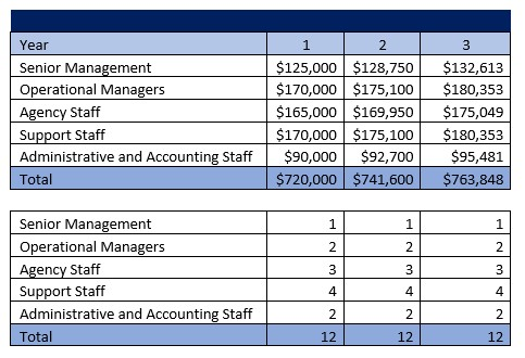 Medical Staffing Agency Payroll