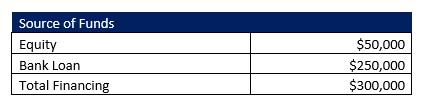 Medical Staffing Agency Capital Structure