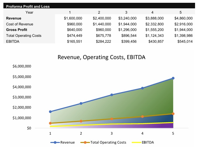 Real Estate Developer P&L