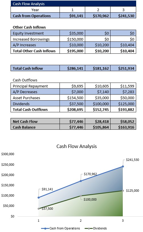 Senior Transportation Service Cash Flow Analysis