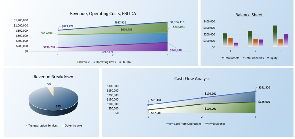 Senior Transportation Service Financial Model