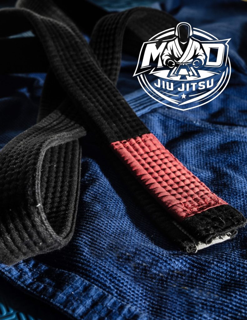 Brazilian jiu-jitsu Business Plan