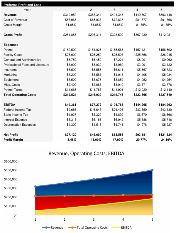 Brazilian jiu-jitsu Gym Income Statement