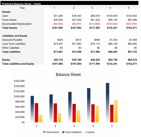 Brazilian jiu-jitsu Gym Balance Sheet