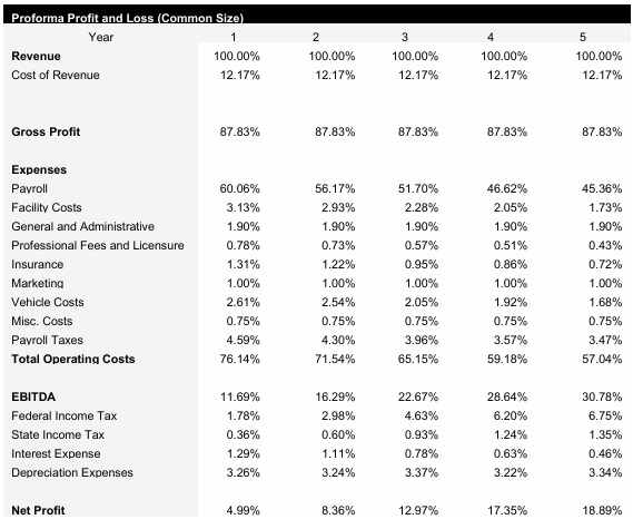Mobile Car Detailing Common Size Income Statement