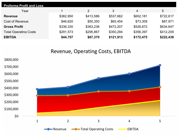 Mobile Car Detailing P&L