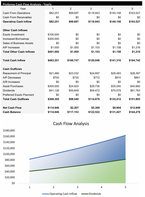 Car Rental Agency Cash Flow Analysis