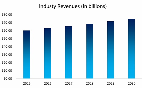 Car Rental Agency Industry Revenues