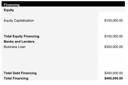 Car Rental Agency Capital Sturcture