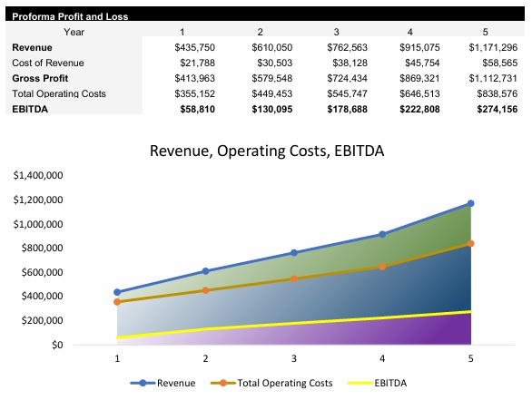 Cleaning Business Income Statement