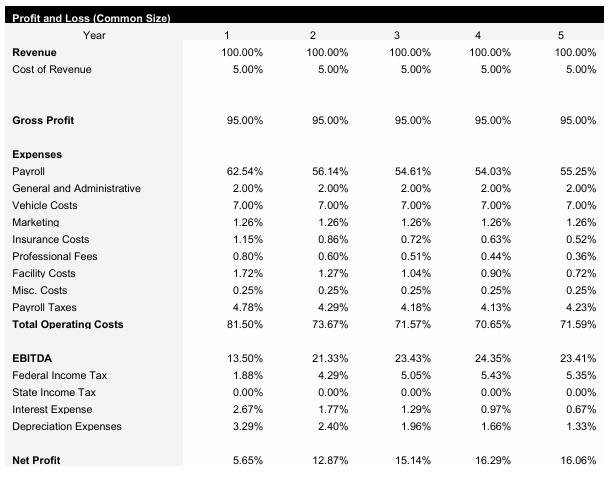 Cleaning Business Common Size Income Statement