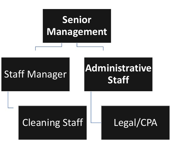 Cleaning Business Organizational Structure