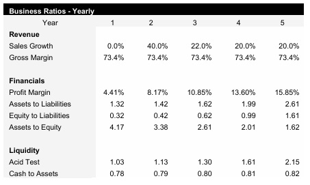 Cybersecurity IT Firm Business Ratios