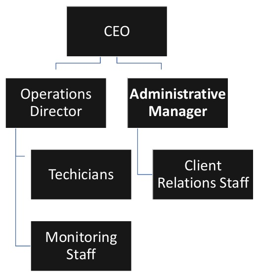 Cybersecurity IT Firm Organizational Structure