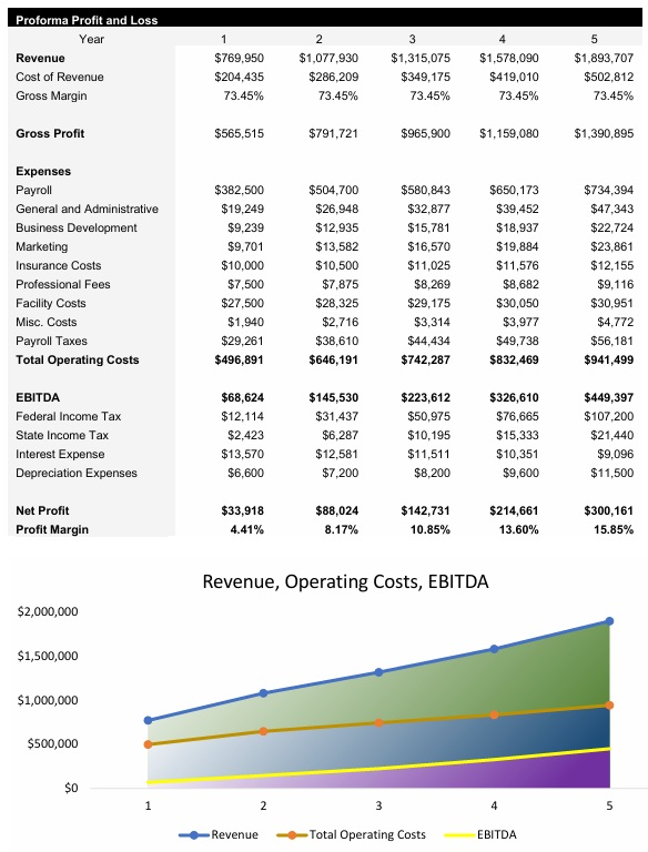 Cybersecurity IT Firm Income Statement