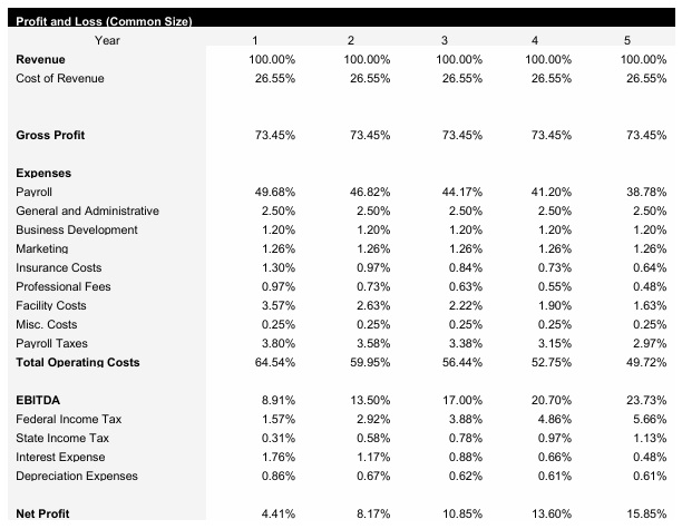 Cybersecurity Firm Common Size Income Statement