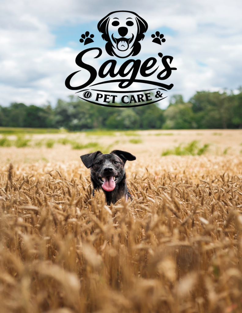 Dog Daycare Business Plan