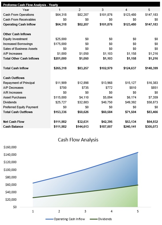 Dog Daycare Cash Flow Analysis