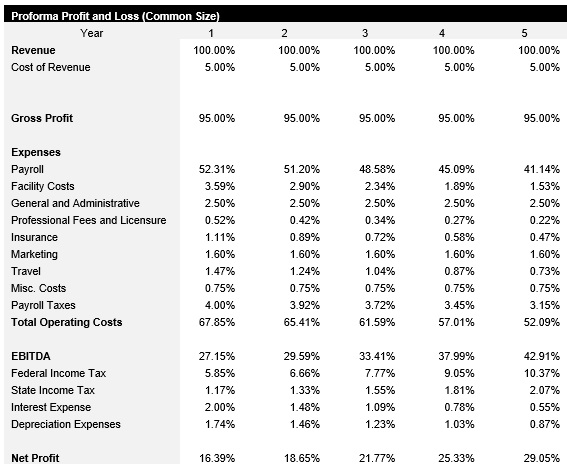 Electrical Engineer Common Size Income Statement