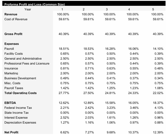 Fix and Flip Common Size Income Statement