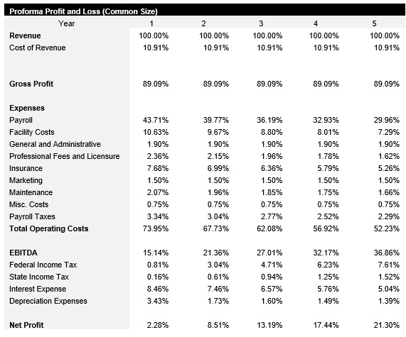 Go Kart Track Common Size Income Statement
